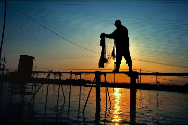 Nuôi tôm ban đêm: Nhìn thấu rủi ro để giữ chắc mùa vụ
