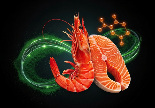 Màu sắc – Một thước đo giá trị tôm cá
