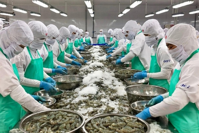 Cuộc chiến chi phí thức ăn: Tại sao giá thức ăn thủy sản vẫn "neo" cao và đâu là giải pháp cho người nuôi?