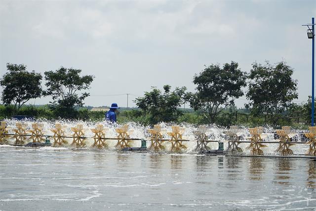 Tại sao oxy cao nhưng tôm vẫn nổi đầu? ​
