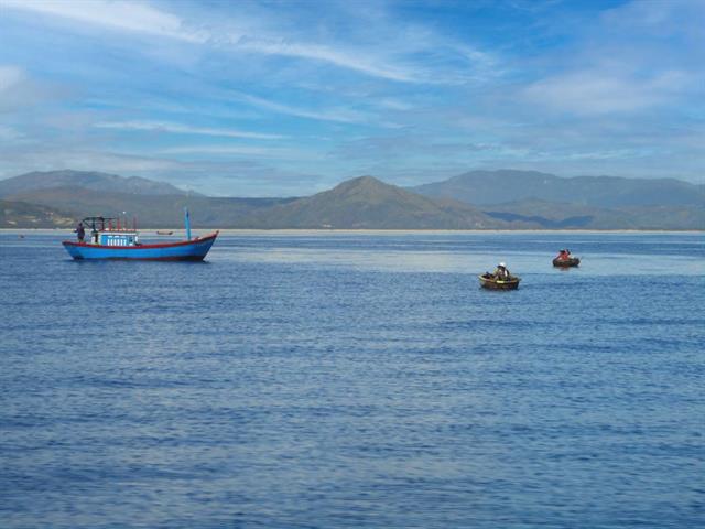 Gia Lai cấp hơn 212 tỷ đồng hỗ trợ chuyển đổi nghề, giải bản tàu cá không đủ điều kiện hoạt động