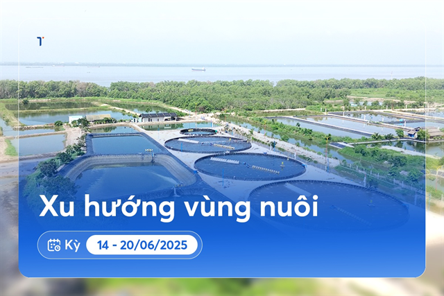 Xu hướng vùng nuôi: Cảnh báo khuẩn gan và ruột vẫn tiếp tục tăng cao