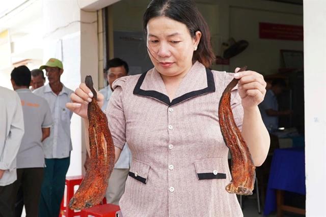 Người dân mang cá chết đến họp, nghi ngờ do dự án sân bay Cà Mau