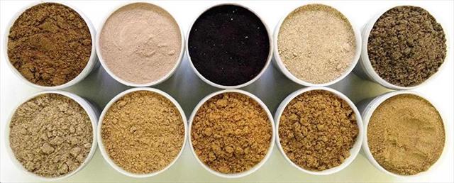 Ấn Độ gỡ bỏ thuế Artemia, giảm chi phí đầu vào cho ngành thủy sản ​