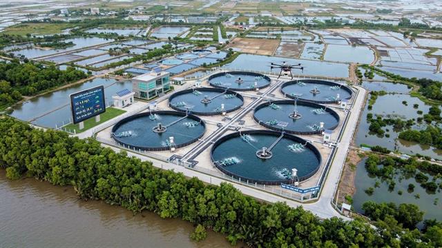 Dự báo tươi sáng ngành tôm giai đoạn 2026-2034 ​