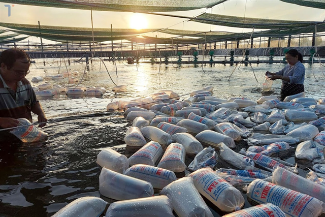 Chuẩn bị các điều kiện nuôi trồng thủy sản vụ xuân hè