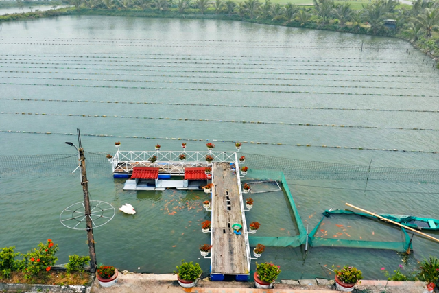 Nuôi trai nước ngọt lấy ngọc mở hướng phát triển thủy sản công nghệ cao