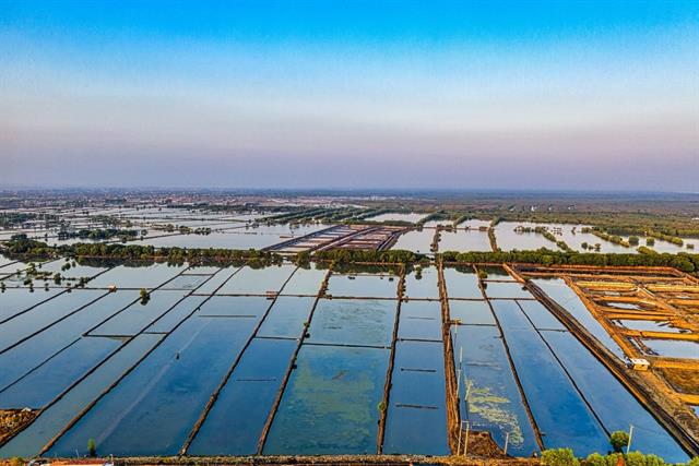 Thủy sản 10 tháng và vấn đề quản lý dịch bệnh