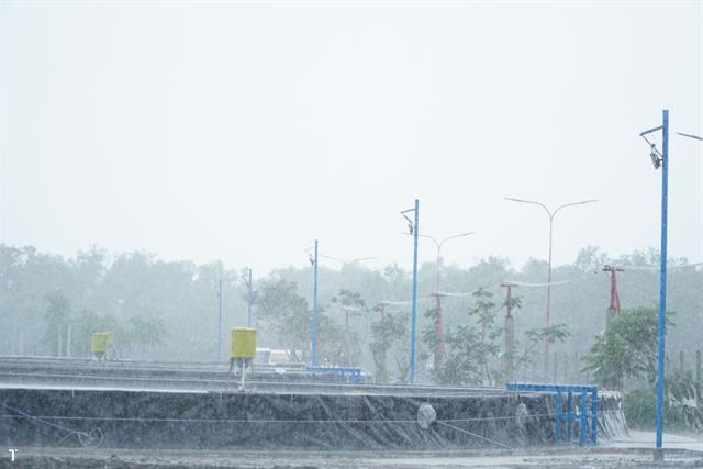 Đừng để trắng tay sau một cơn mưa đêm: Hiệu ứng domino dưới đáy ao