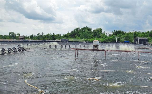 Sắt (Fe) có liên quan gì đến Phèn và H2S? Sắt (Fe) có liên quan gì đến Phèn và H2S?