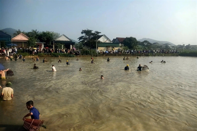 Hàng trăm người lao xuống ao bắt cá sau hiệu lệnh