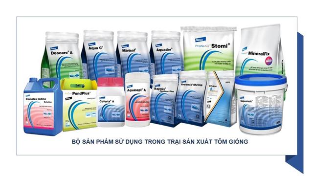 Hội chứng zoea 2 – Thách thức của các trại sản xuất giống tôm thẻ chân trắng Litopenaeus vannamei