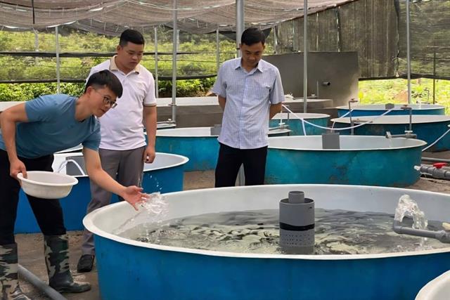 Hành trình chàng trai trẻ mang cá tầm lên rừng