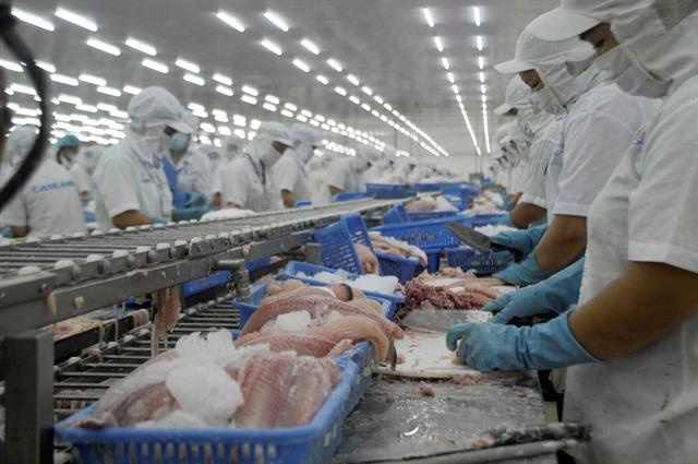 Chính sách thuế GTGT đối với phế liệu, phế phẩm trong chế biến thủy sản