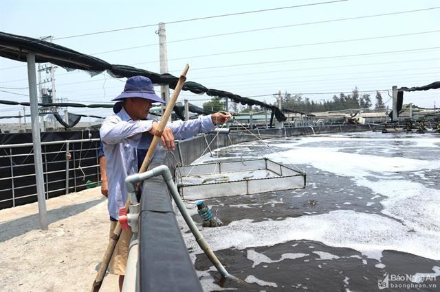 Túc trực chống nóng cho tôm dưới nền nhiệt 40 độ C Túc trực chống nóng cho tôm dưới nền nhiệt 40 độ C