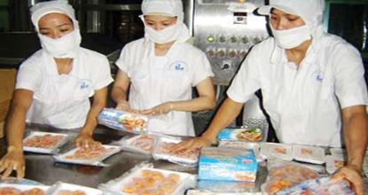 CÔNG TY CP THỦY SẢN XNK CÔN ĐẢO: Kim ngạch xuất khẩu đạt 32,2 triệu USD CÔNG TY CP THỦY SẢN XNK CÔN ĐẢO: Kim ngạch xuất khẩu đạt 32,2 triệu USD