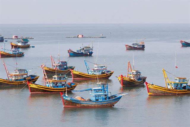 Phát triển nghề cá có trách nhiệm và cấp chứng nhận khai thác bền vững (MSC)