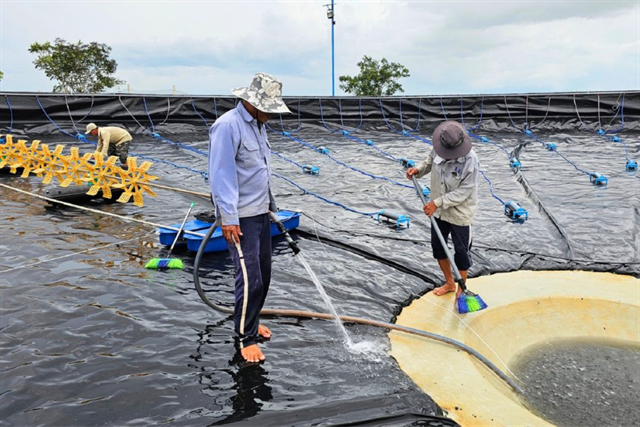 Sai lầm thường gặp khi phơi đáy ao