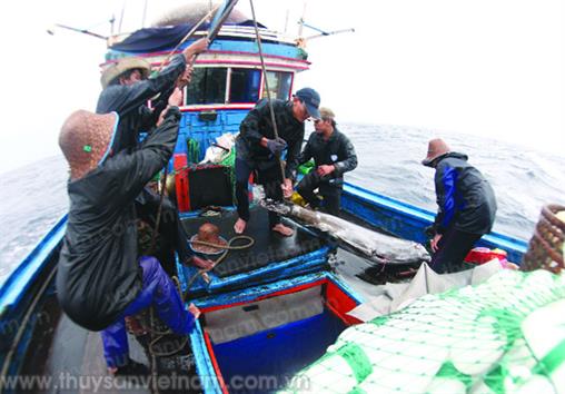 Thanh Hóa: Hỗ trợ đẩy mạnh khai thác xa bờ