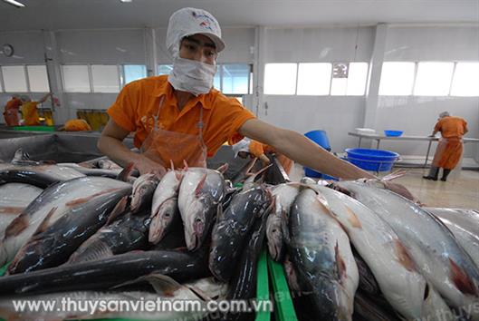 Việt Nam đủ điều kiện xuất khẩu cá tra, basa sang Mỹ