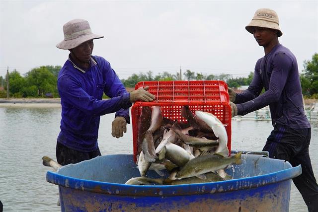 Khơi thông thị trường xuất khẩu thủy sản