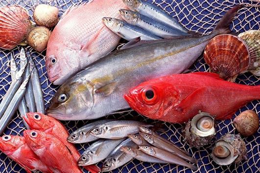 Các thực phẩm thủy hải sản có sạch như chúng ta nghĩ ?