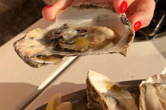 Hàu Mỹ nhiễm Salmonella: Cảnh báo cho người tiêu dùng Việt