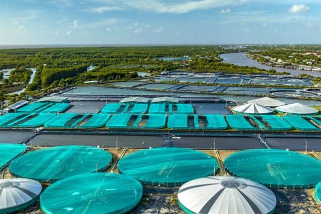 Hiện trạng thu hẹp nguồn vốn đại lý đầu tư: Nguyên nhân và giải pháp