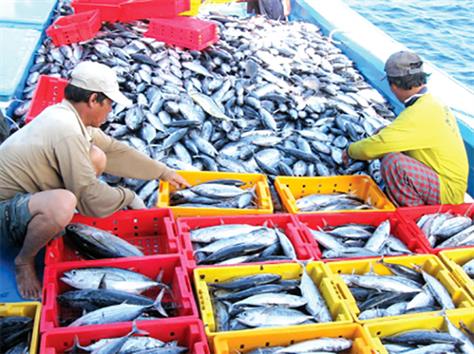Bình Định: Chú trọng phát triển kinh tế biển