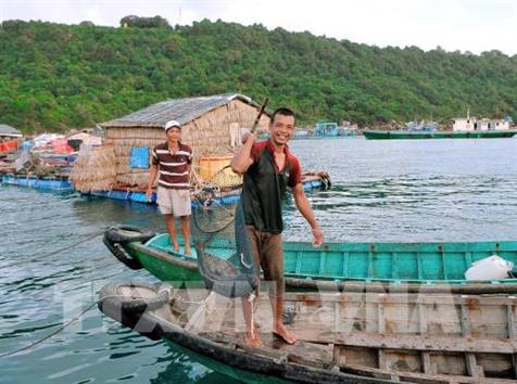 Khai thác thủy sản thành ngành kinh tế chủ lực của tỉnh Kiên Giang Khai thác thủy sản thành ngành kinh tế chủ lực của tỉnh Kiên Giang