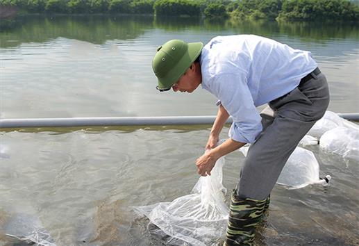 Lưu ý trong vận chuyển cá giống Lưu ý trong vận chuyển cá giống