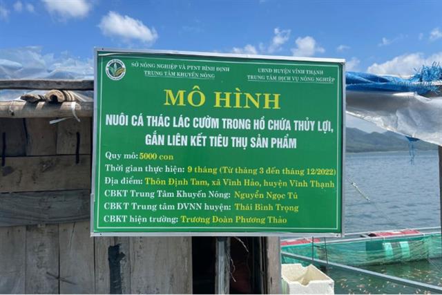 Cá Nàng Hai ăn gì Giá bao nhiêu Kỹ thuật nuôi Bán ở