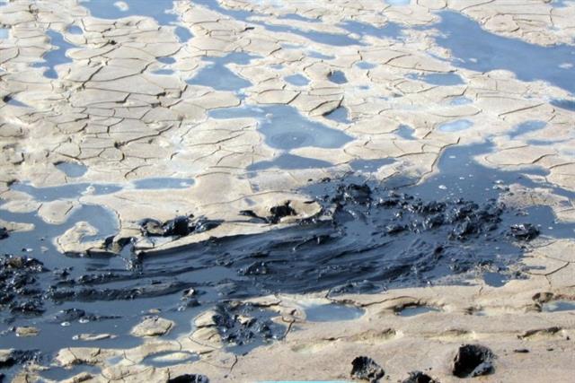 Xử lý mùn bã hữu cơ đáy ao trong nuôi tôm giữa vụ