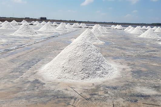 Muối trúng mùa, diêm dân bội thu