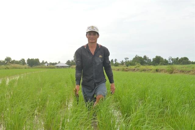 Tôm-lúa: Chìa khóa đổi đời của nông dân vùng đất khó An Giang