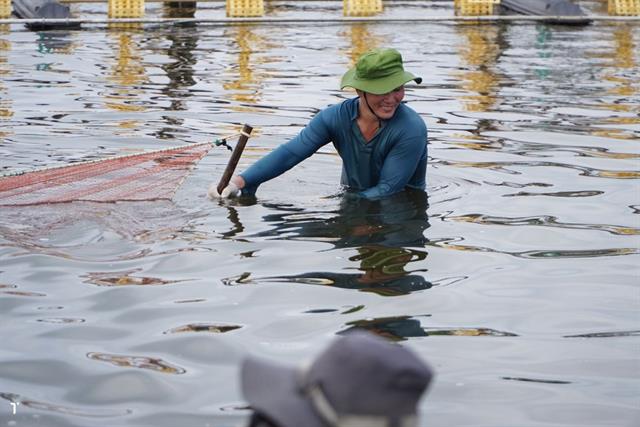 Kiểm chứng các kinh nghiệm truyền miệng trong ngành nuôi tôm