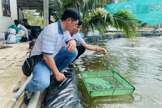 Gia Lai: Cảnh báo nguy cơ tôm sốc môi trường khi thời tiết giao mùa