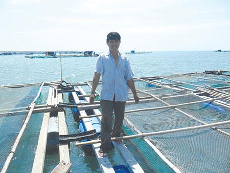 Nuôi cá bớp trên biển