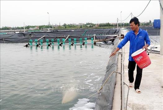 Công nghệ cho ngành tôm Hiện đại hơn hiệu quả hơn  Aquaculture