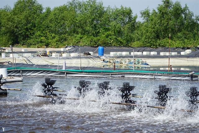 Xu hướng nuôi trồng thủy sản bền vững và giảm tác động môi trường năm 2025