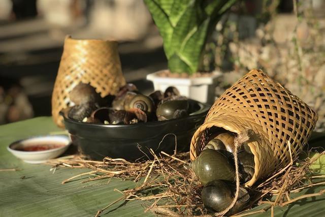 Ốc gác bếp: Hương vị nồng nàn giữa sương mù Tây Bắc Ốc gác bếp: Hương vị nồng nàn giữa sương mù Tây Bắc