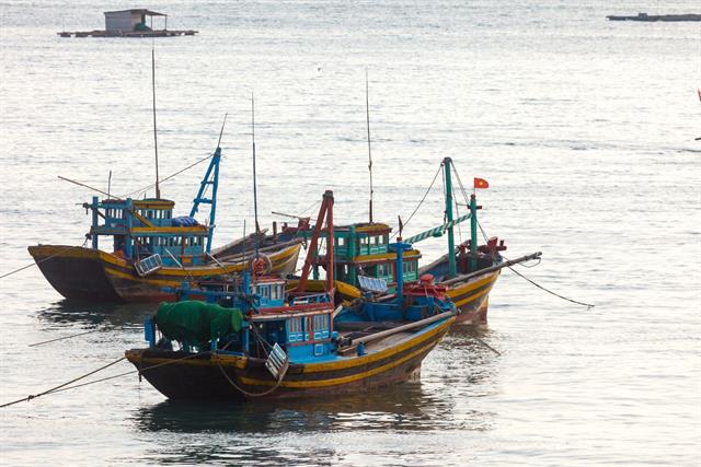 Phó Thủ tướng yêu cầu xóa tàu cá “3 không” trong tháng 11