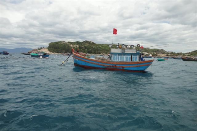 Bình Định: Khai thác tiềm năng và thúc đẩy phát triển nghề nuôi biển