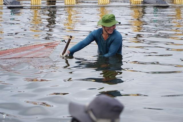 Biện pháp đảm bảo an toàn cho ao nuôi tôm trong dịp Tết Nguyên Đán