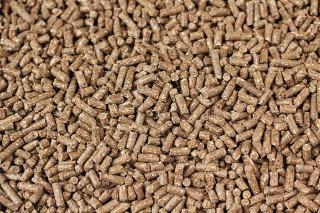 Thức ăn tiêu chuẩn ASC phải không phá rừng