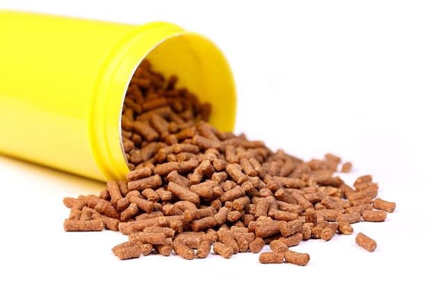 Tự ủ thức ăn lên men: Tiết kiệm chi phí hay đang rước họa vào ao?