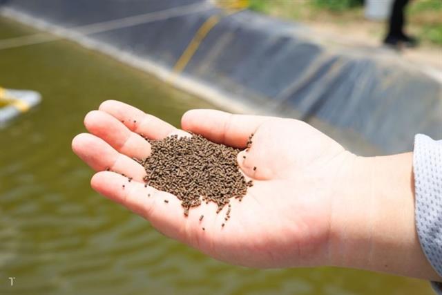 Nguyên liệu lên men: Một xu hướng mới trong dinh dưỡng thủy sản