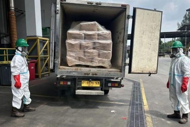 Indonesia tiêu hủy khẩn gần 6 tấn tôm nhiễm phóng xạ Cs-137