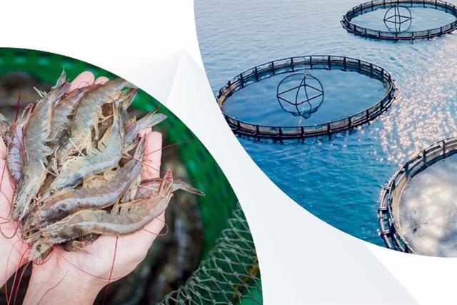 Vietagros 2026: Thúc đẩy xu hướng tiêu dùng xanh