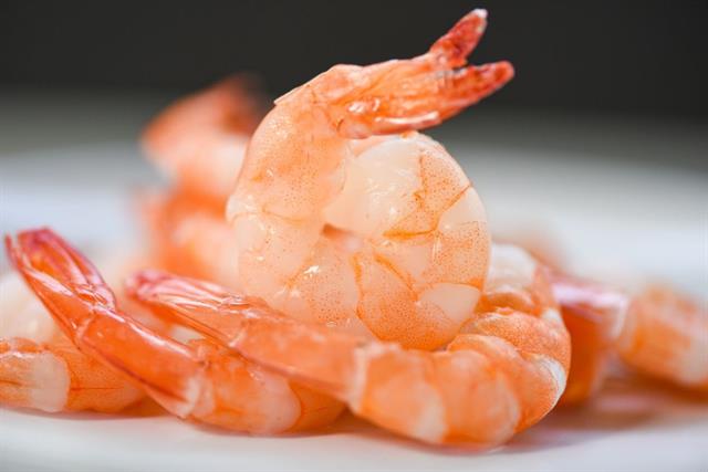 Ảnh hưởng của tôm đối với vết thương hở